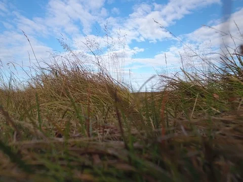 Find a shipwreck Video stock 69891882