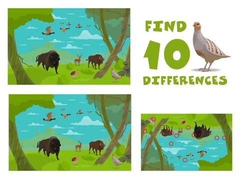 Find ten differences of cartoon wild animals イラスト素材