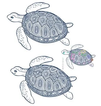 Find ten differences - coloring page for children  - turtle Stock Illustration