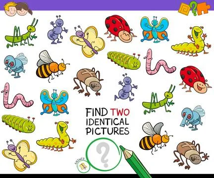 Find two identical bug pictures game for kids Cartoon Illustration of Find... Stock Photos