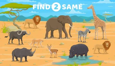 Find two same african savannah animals worksheet Stock Illustration