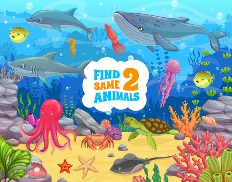 Find two same animals cartoon underwater landscape Stock Illustration