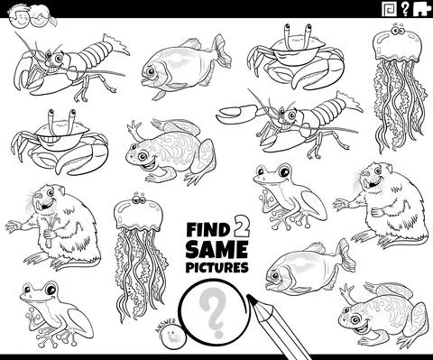Find two same animals task coloring book page 스톡 일러스트