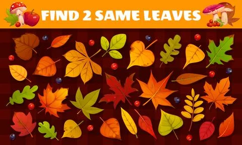 Find two same autumn leaves, kids game worksheet Stock Illustration