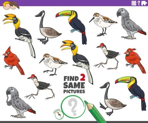 Find two same cartoon birds characters educational task Stock Illustration