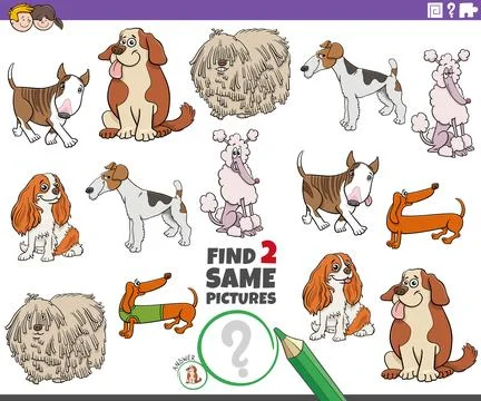 Find two same cartoon purebred dogs educational activity Stock Illustration