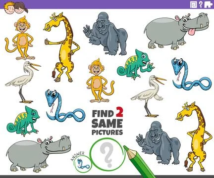 Find two same cartoon wild animal characters educational activity Stock Illustration