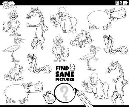 Find two same cartoon wild animal characters educational activity coloring pa Stock Illustration