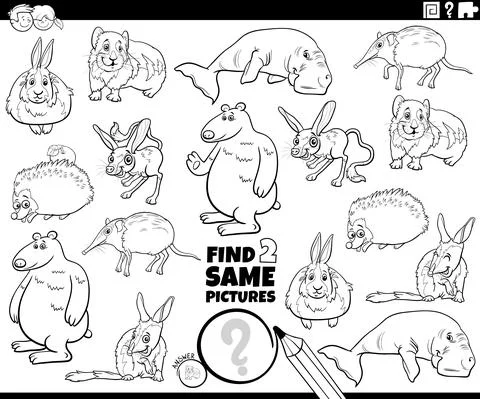 Find two same comic animals game coloring book page 스톡 일러스트