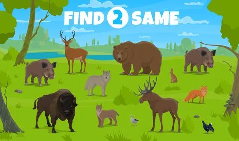 Find two same forest animals, kids game or quiz 库存插图