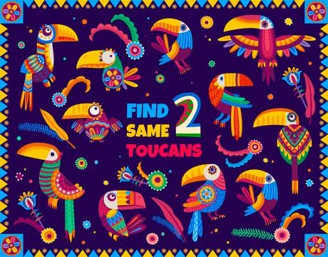 Find two same Mexican toucan birds, kids game Stock Illustration