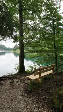 Finding a bench with a perfect view over a lake Stock Photos