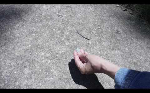 Finding a Coin Видео 295465775