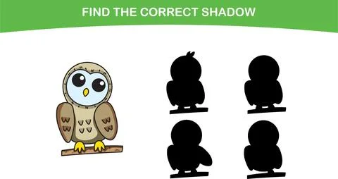 Finding the correct owl shadow. Find the correct shadow Stock Illustration
