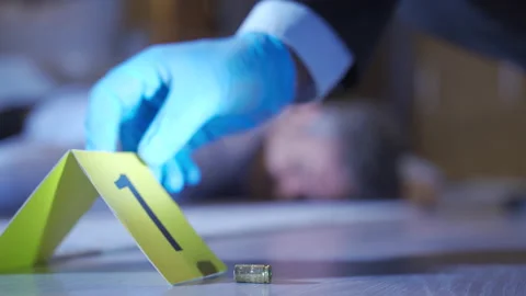 Finding criminal evidence. Video stock 221671757