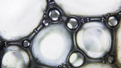 Finding Focus - Abstract Soap Foam under Microscope Video stock 79927243