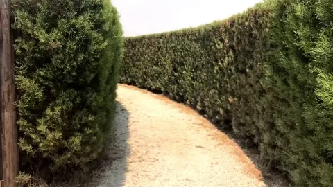 Finding The Girl inside a Labyrinth Garden Stock Footage 110983791
