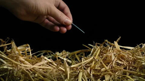 Finding Needle In Haystack - Difficult Challenge, Success Concept Stock Footage 143540123