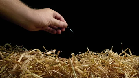 Finding Needle In Haystack - Impossible Metaphor Stock Footage 150180206