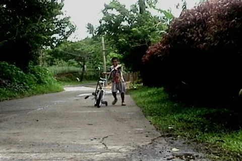 Finding Orphaned Baby Stock Footage 627695