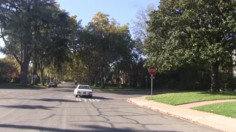 Finding the party Vídeo Stock 43998202