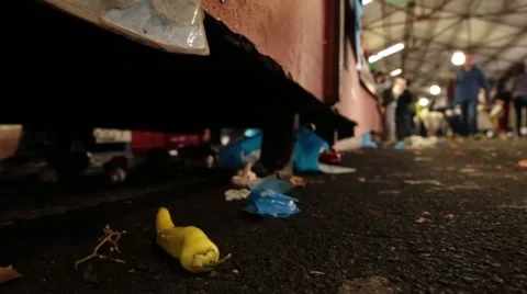 Finding a pepper Stock-Footage 40030610