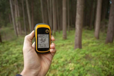 Finding the right position in the forest via gps Stock Photos