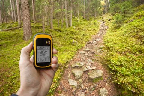 Finding the right position in the forest via gps Stock Photos