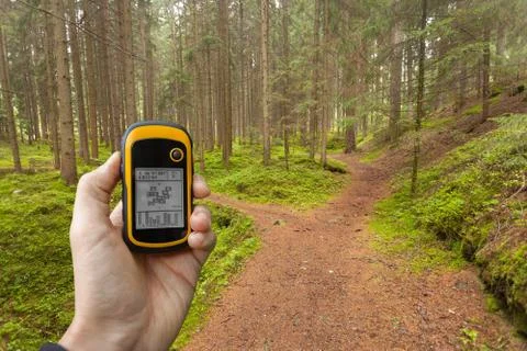 Finding the right position in the forest via gps Foto stock