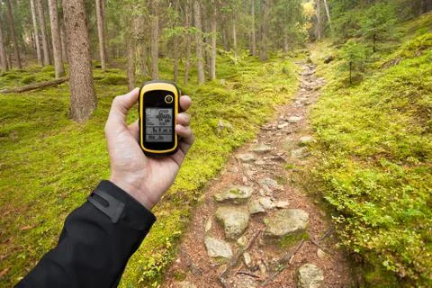 Finding the right position in the forest via gps Stock Photos