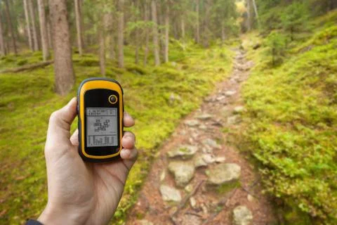 Finding the right position in the forest via gps ( blurred background ) Fotos Stock