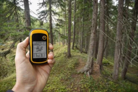 Finding the right position in the forest via gps ( blurred background ) Stock Photos