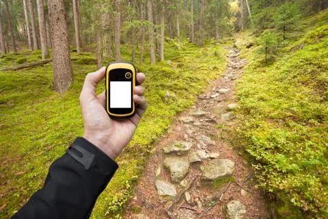 Finding the right position in the forest via gps Foto stock