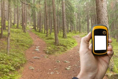 Finding the right position in the forest via gps Stock Photos