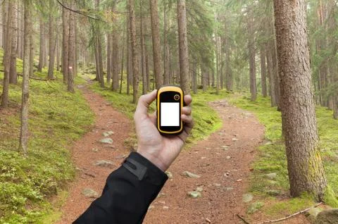 Finding the right position in the forest via gps Stock Photos