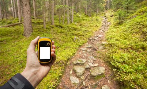 Finding the right position in the forest via gps Stock Photos