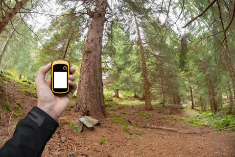 Finding the right position in the forest via gps Stock Photos