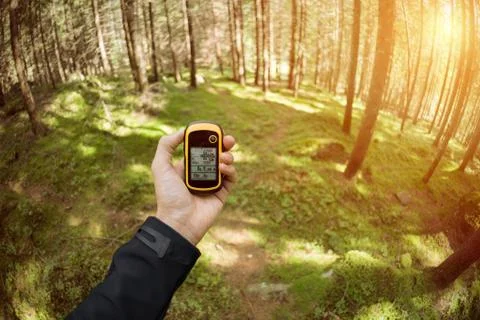 Finding the right position in the forest via gps Stock Photos