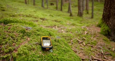 Finding the right position in the forest with a gps Stock Photos