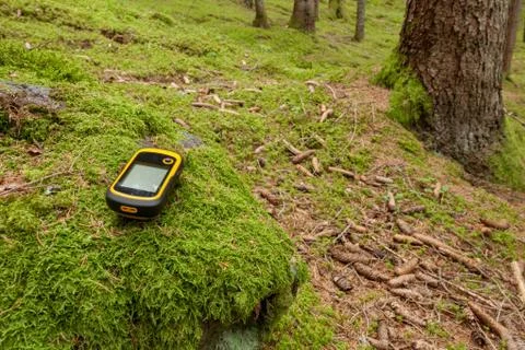 Finding the right position in the forest with a gps Foto stock