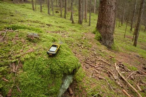 Finding the right position in the forest with a gps Stock Photos
