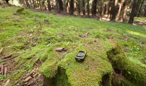 Finding the right position in the forest with a gps Foto stock