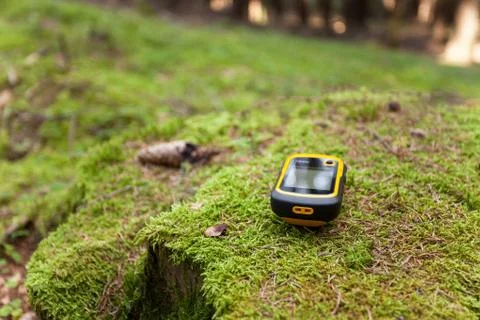 Finding the right position in the forest with a gps Stock Photos