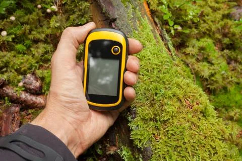 Finding the right position in the forest via gps Stock Photos