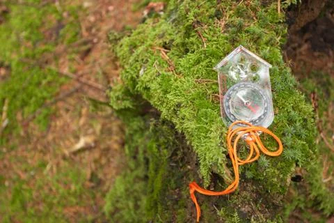 Finding the right position in the forest with a kompass Fotos Stock