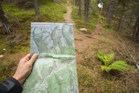 Finding the right position in the forest with a map Stock Photos