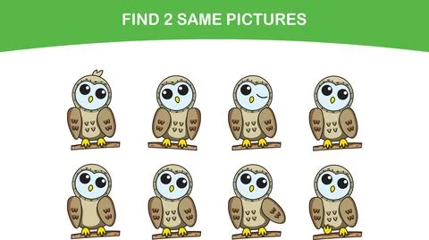 Finding the same owl Find 2 similar image Stock Illustration