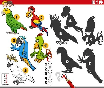 Finding shadows game with cartoon parrots animals Stock Illustration