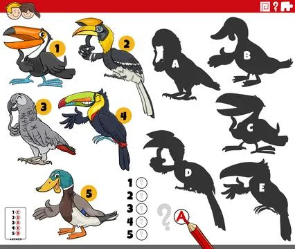 Finding shadows puzzle with cartoon birds animal characters Stock Illustration
