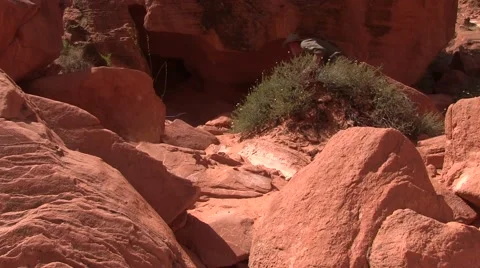 Finding shelter Video stock 50702359